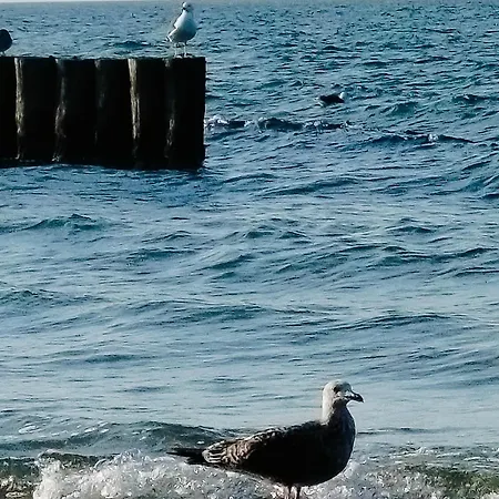 Prázdninový dům Tyfami - Dom 1