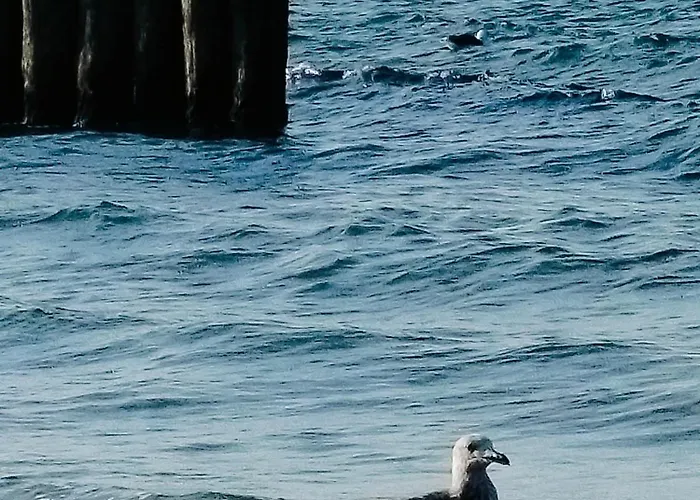 Holiday home Tyfami - Dom 1