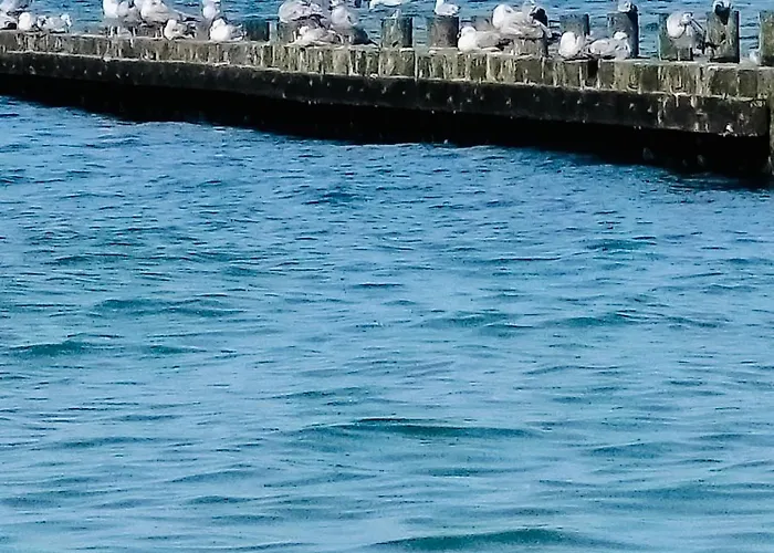 Holiday home Tyfami - Dom 1 Jaroslawiec